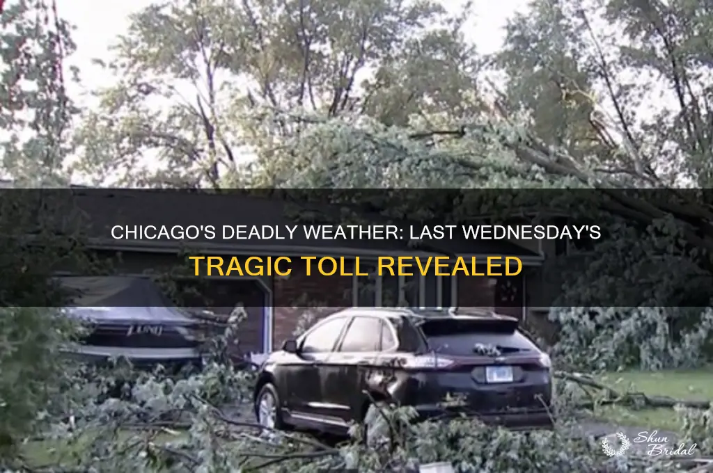 how.many people.dead.in Chicago.last bad weather weds