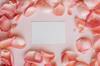 invitation