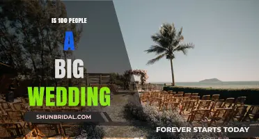 Is 100 Guests Considered a Large Wedding Celebration?