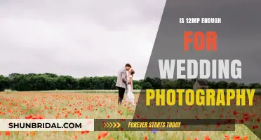 Wedding Photography: Are Megapixels a Major Concern?