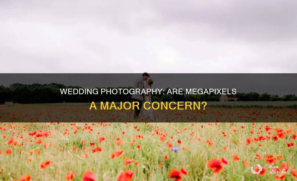 is 12mp enough for wedding photography