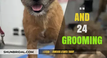 Understanding Grooming: A Discussion on 19 and 24