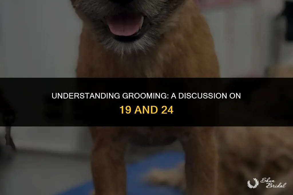 is 19 and 24 grooming