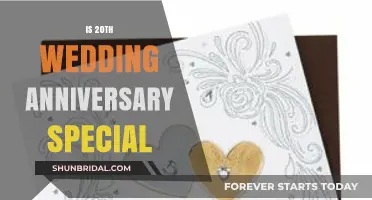 Celebrating Two Decades of Love: The Significance of Your 20th Anniversary