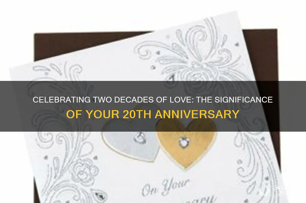 is 20th wedding anniversary special