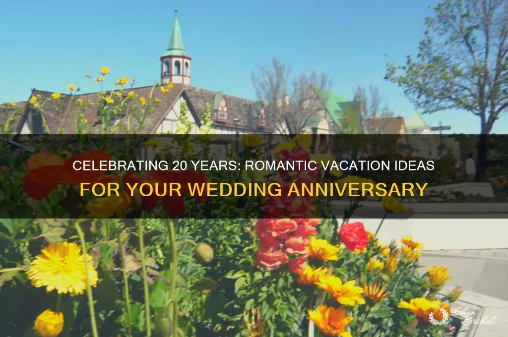 is 20th wedding anniversary vacation ideas