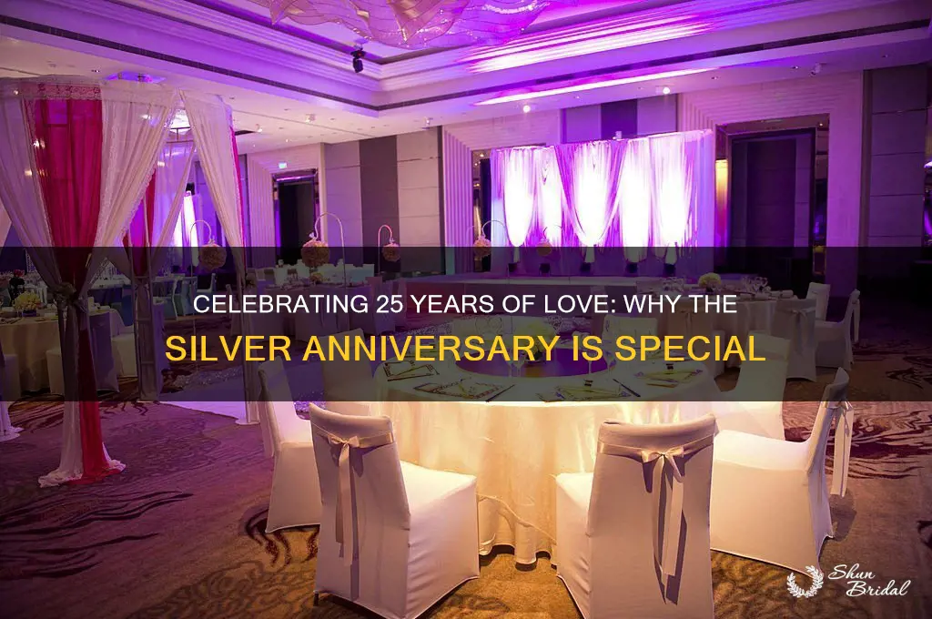 is 25th wedding anniversary special