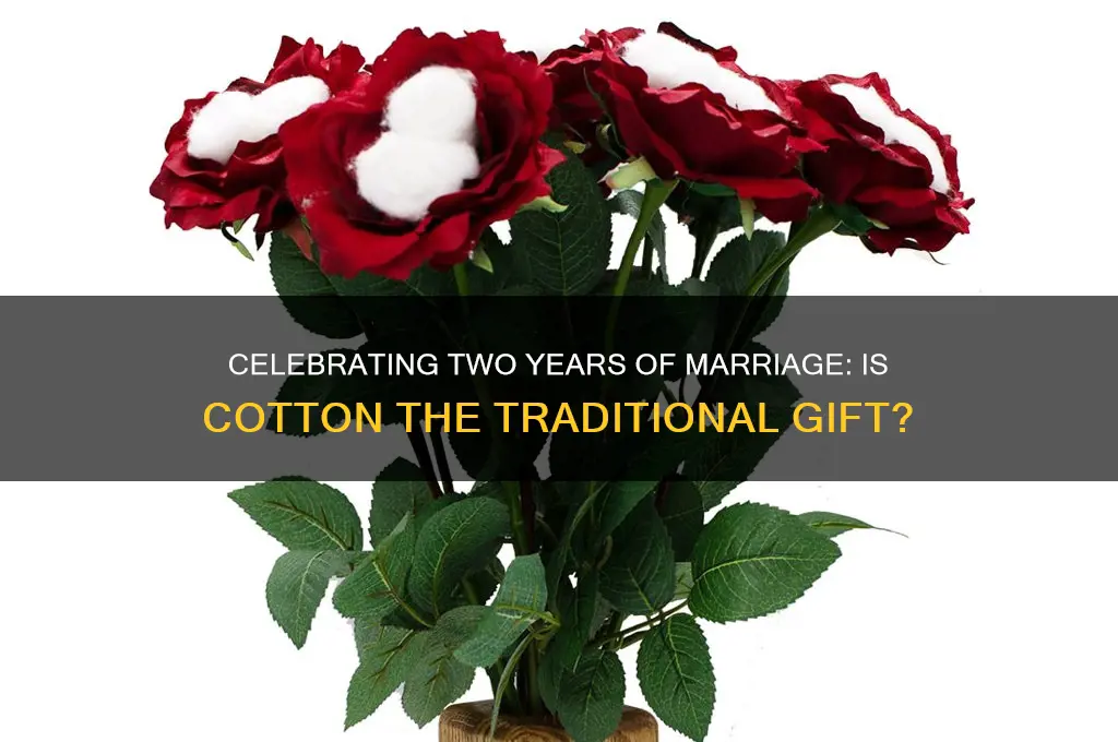 is 2nd wedding anniversary cotton
