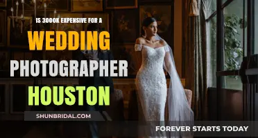 Houston Wedding Photography: Is $3000 a Fair Price?