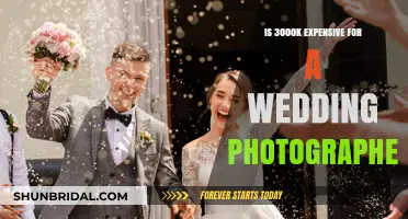 Hiring a Wedding Photographer: Is It Worth the $3000 Price Tag?