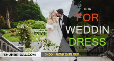 A Lavish Wedding Dress: Is 3K Justified?