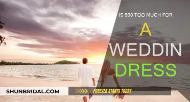 Finding the Perfect Wedding Dress: Is 500 Too Much?