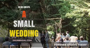 Is 60 Guests Considered a Small Wedding? Exploring Intimate Celebrations