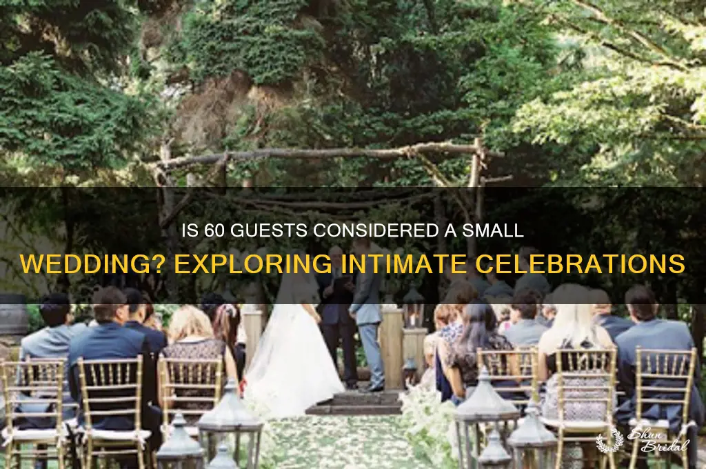 is 60 guests a small wedding