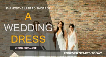 Finding the Perfect Wedding Dress: Is It Too Late?