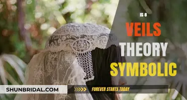 Unveiling the Symbolic Nature of the 8 Veils Theory