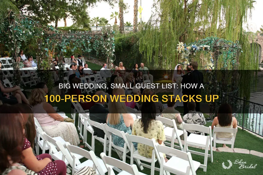 is a 100 person wedding big