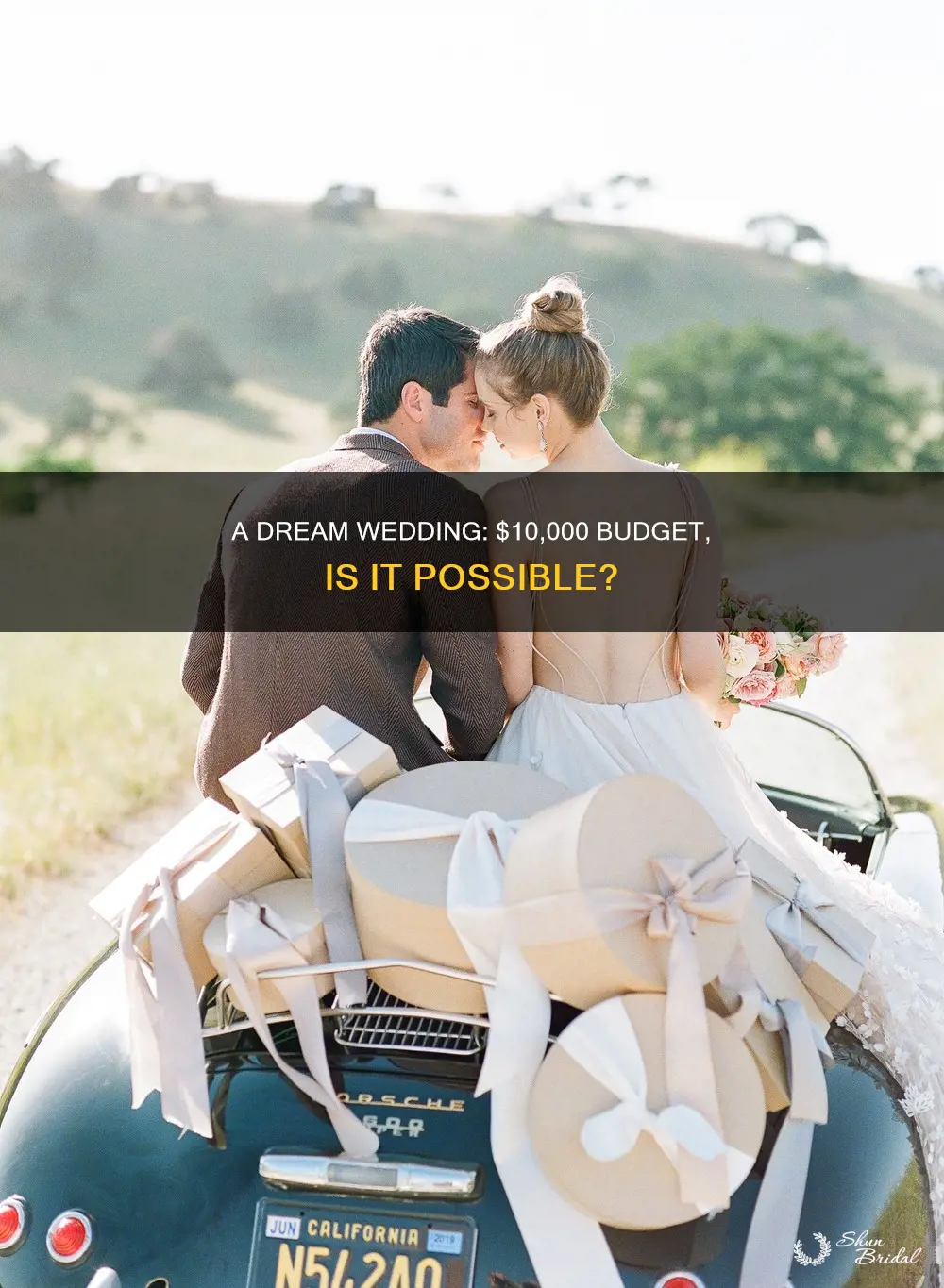 is a 10000 dollar wedding and honeymoon reasonable