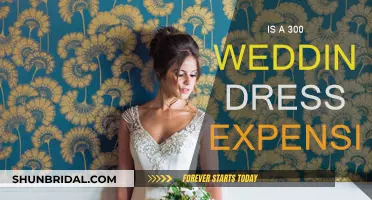 Are 300 Dollar Wedding Dresses Really Expensive?