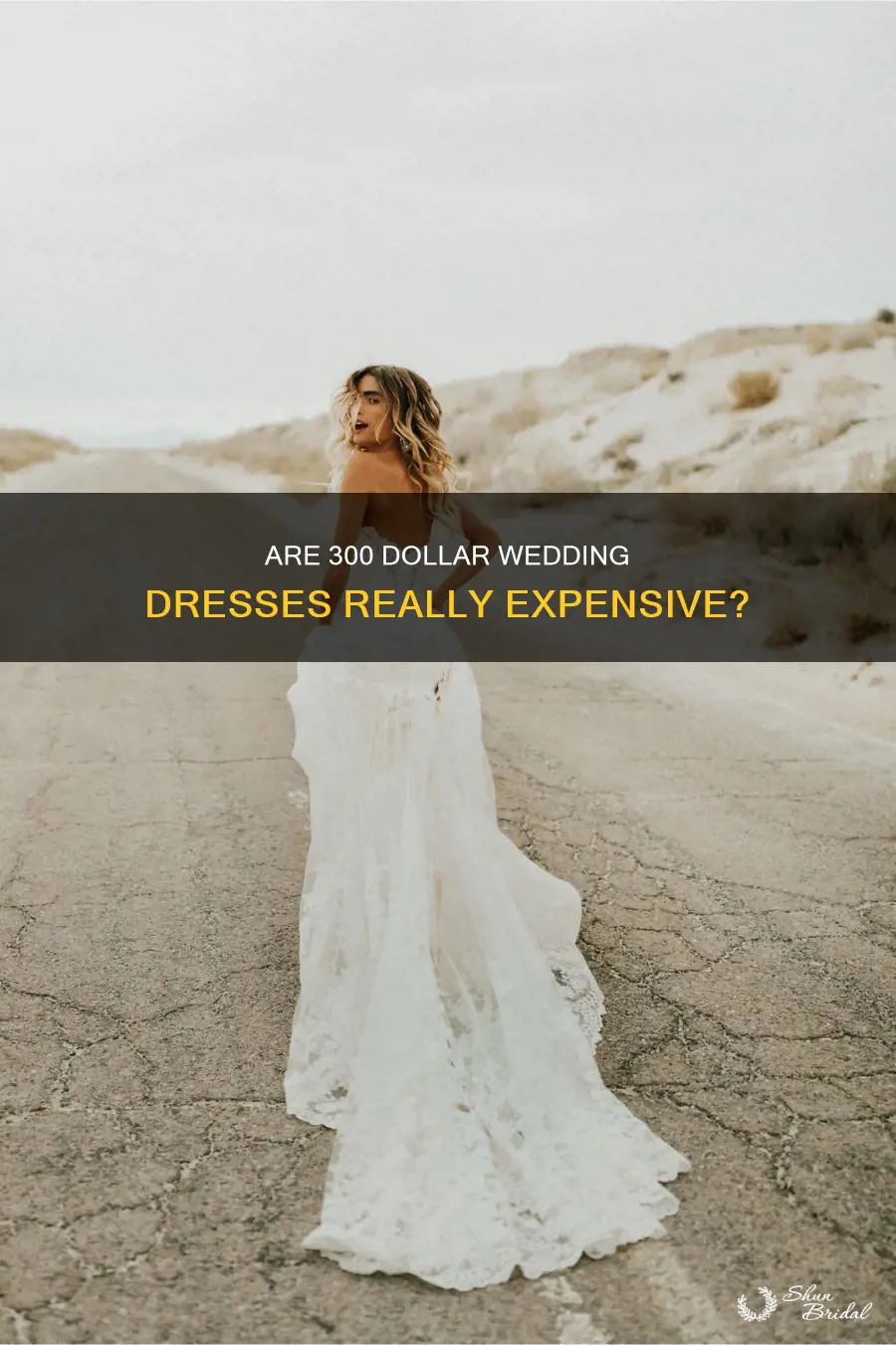 is a 300 wedding dress expensive