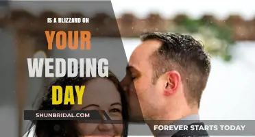 Blizzard on Your Wedding Day: Turning Snow into Magical Memories