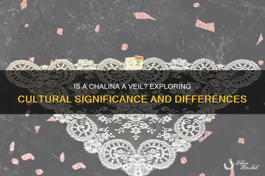 is a chalina a veil