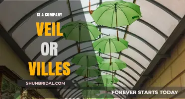 Corporate Veil vs. Villes: Understanding Legal Protections for Businesses