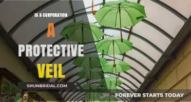 Is a Corporation a Protective Veil? Unraveling Legal Shield Myths