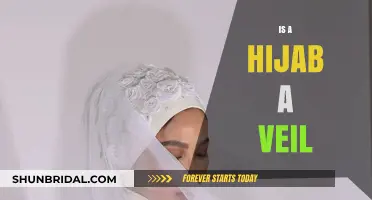 Hijab vs. Veil: Understanding the Cultural and Religious Differences