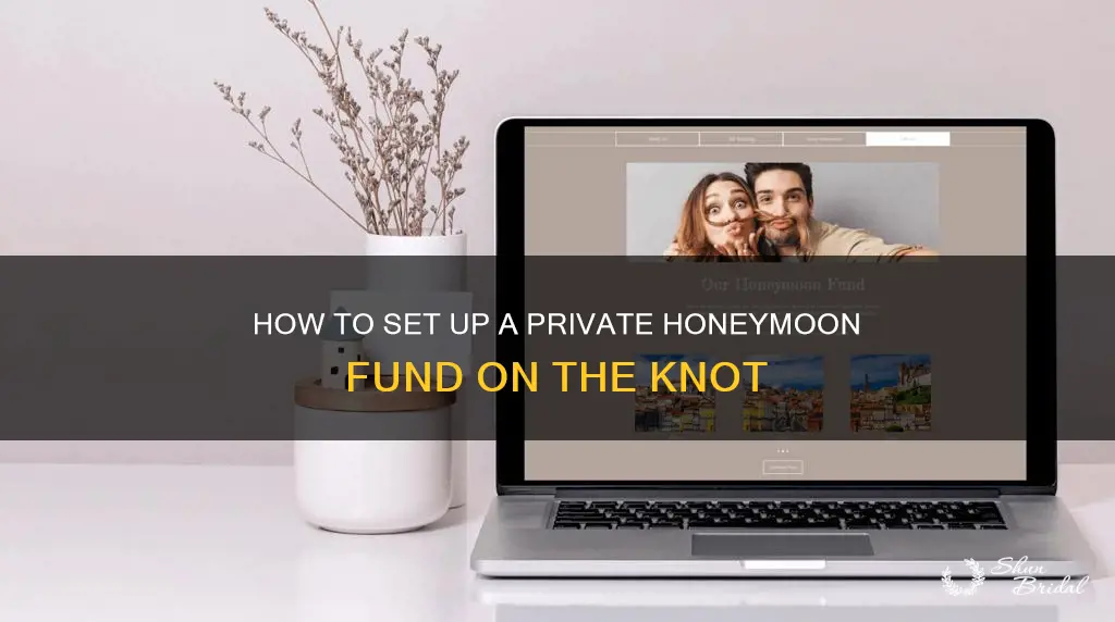 is a honeymoon fund on the knot public