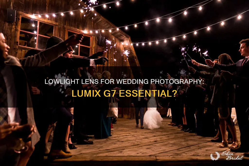 is a lowlight lens needed for weddings on lumix g7