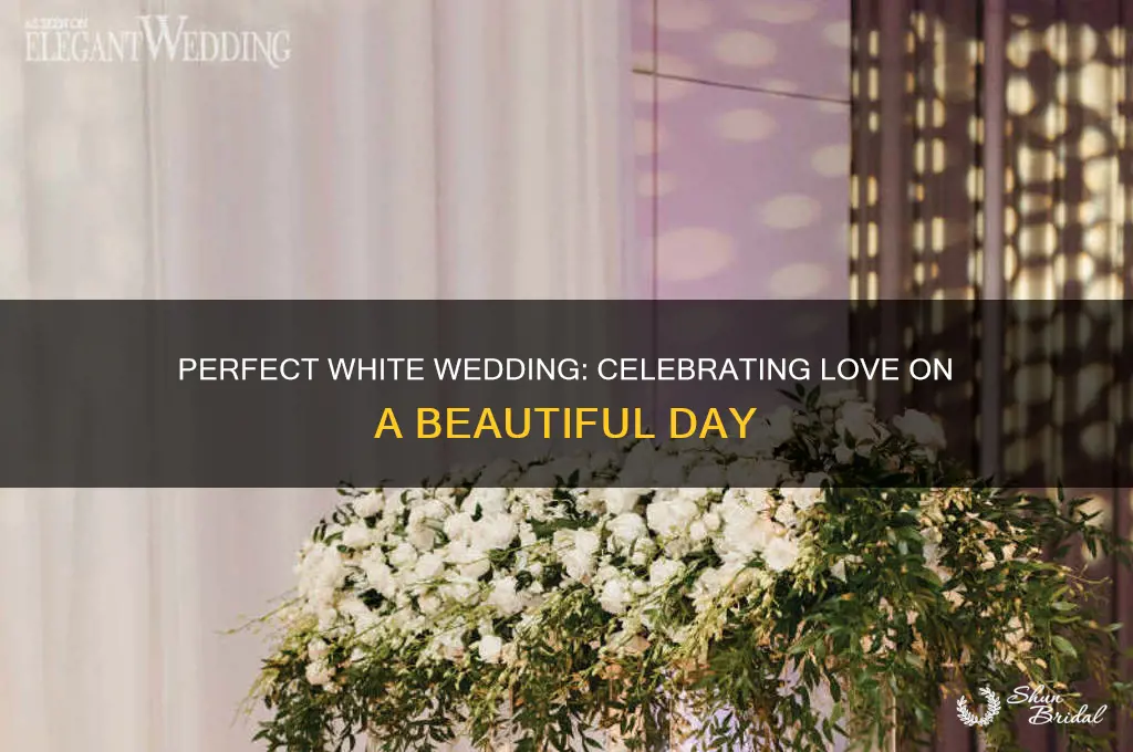 is a nice day for a white wedding