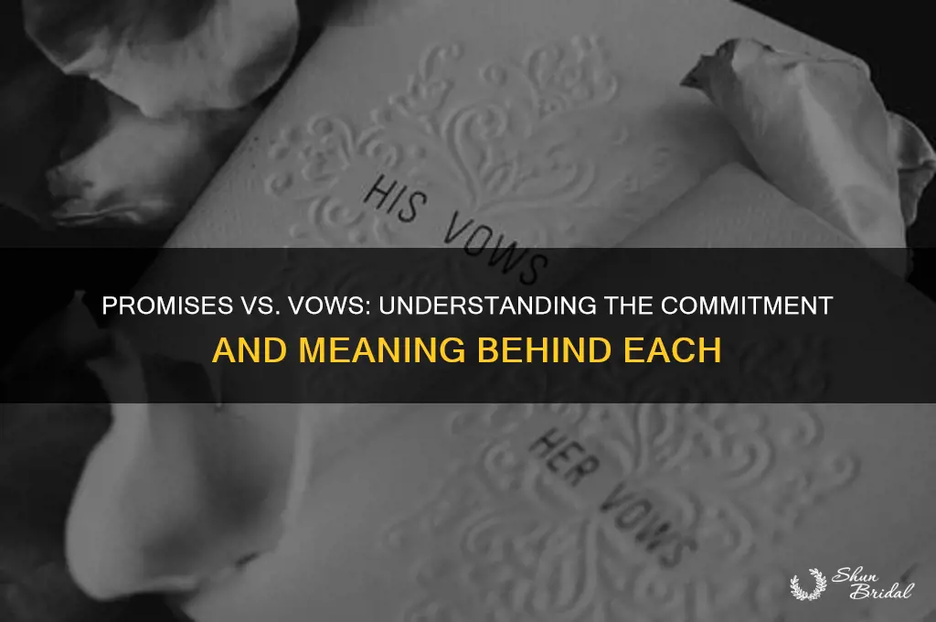 is a promise a vow