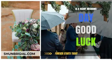 Rain on Your Wedding Day: A Lucky Charm or Just a Myth?