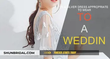 Silver Dresses: Wedding Wear or Not?