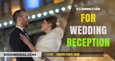 Soundbars: A Wedding Reception Must-Have?