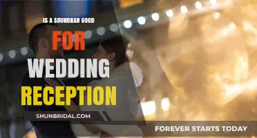 Soundbars: Wedding Reception Audio Solution?