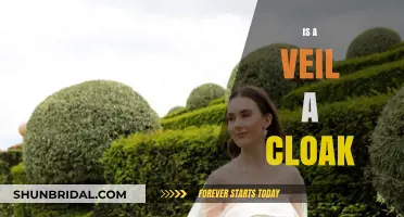 Veil vs. Cloak: Unraveling the Differences and Cultural Significance