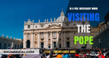 Veil or No Veil: Dress Code for Papal Audiences Explained