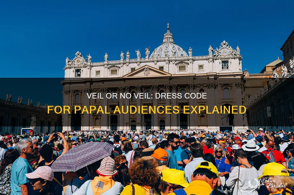 is a veil necessary when visiting the pope