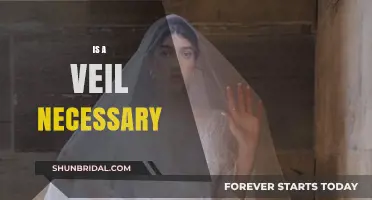 Is a Veil Necessary? Exploring Tradition, Choice, and Modern Perspectives