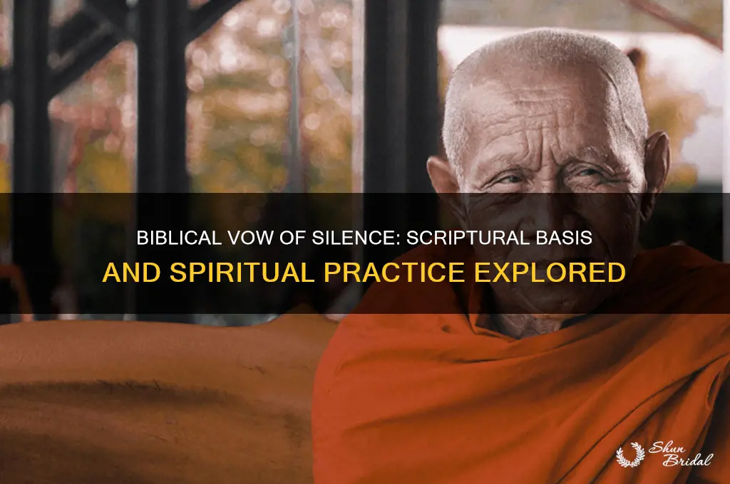 is a vow of silence biblical