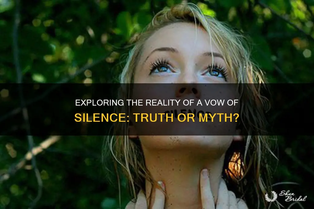 is a vow of silence real