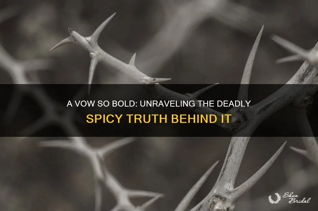 is a vow so bold and deadly spicy