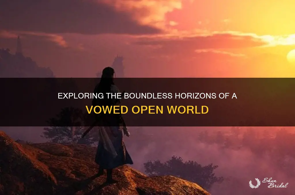 is a vowed open world