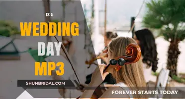 Is a Wedding Day MP3 the Perfect Soundtrack for Your Big Day?