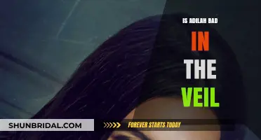 Is Adilah Truly the Villain in The Veil? A Critical Analysis