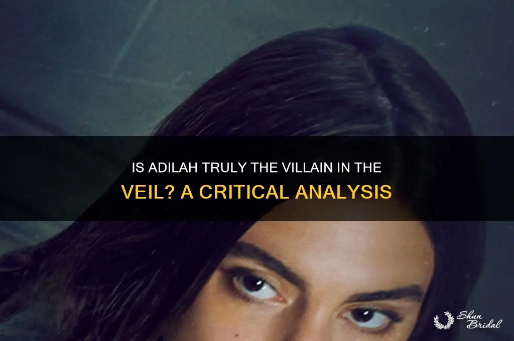 is adilah bad in the veil