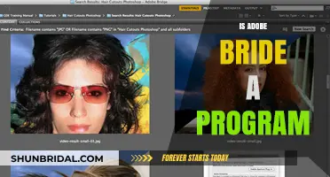 Exploring Adobe Bridge: A Comprehensive Program Overview