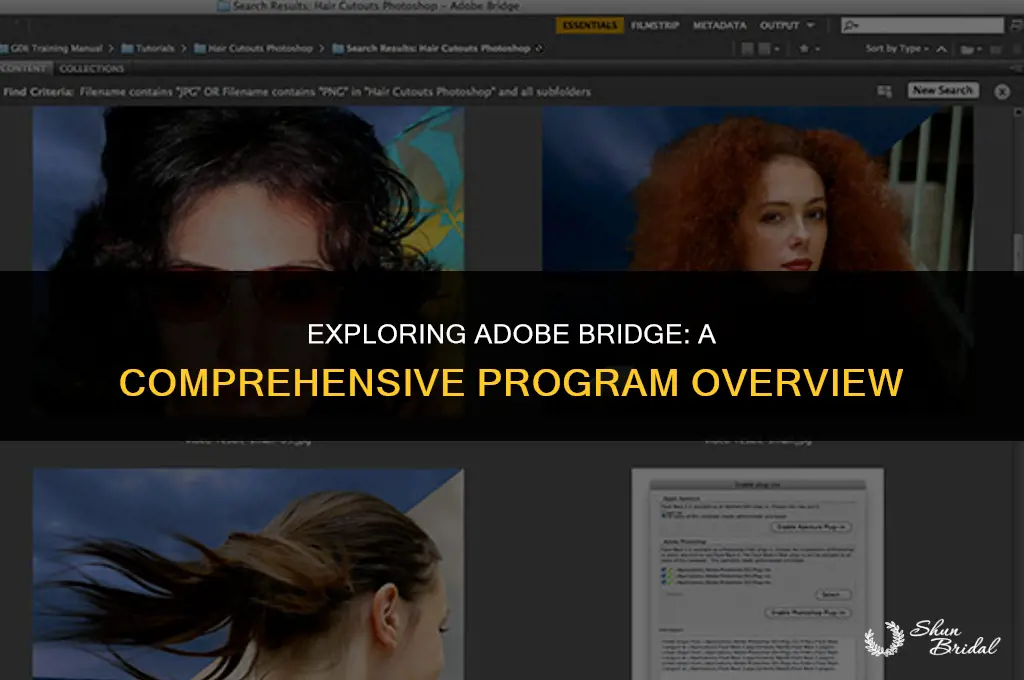 is adobe bride a program